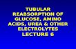 TUBULAR REABSORPTION OF GLUCOSE, AMINO ACIDS, UREA & OTHER ELECTROLYTES LECTURE 6.