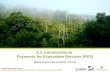 USAID-CIFOR-ICRAF Project Assessing the Implications of Climate Change for USAID Forestry Programs (2009) 5.2. Introduction to Payments for Ecosystem Services.