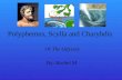 Polyphemus, Scylla and Charybdis Of The Odyssey By: Rachel M.
