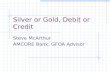 Silver or Gold, Debit or Credit Steve McArthur AMCORE Bank, GFOA Advisor.