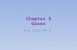 Chapter 5 Gases Kim Shih Ph.D.. Gases Pushing Gas molecules are constantly in motion As they move and strike a surface, they push on that surface push.