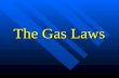 The Gas Laws. Boyles Law Boyles Law Amontons Law Amontons Law Charless Law Charless Law Combined Gas Law Combined Gas Law Gay-Lussacs Law Avogadros Law