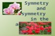 Symmetry and asymmetry in the angiosperms. Angiosperm : from Greek αγγειον + σπερμα (protected seed) Characteristics vascular plants having seeds producing.