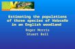 Estimating the populations of three species of Volucella in an English woodland Roger Morris Stuart Ball.