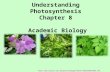 Understanding Photosynthesis Chapter 8 Academic Biology 20CD/0076.JPG.
