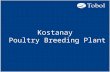 Kostanay Poultry Breeding Plant. Project purpose: High-profitable poultry production enterprise promoting the countrys food security. The project proposes.