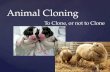 { Animal Cloning To Clone, or not to Clone. Definition: a cell, cell product, or organism that is genetically identical to the unit or individual from.