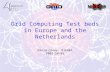Grid Computing Test beds in Europe and the Netherlands David Groep, NIKHEF 2001-10-01.