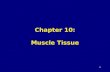 1 Chapter 10: Muscle Tissue. 2 Muscle Tissue A primary tissue type, divided into: –skeletal muscle Voluntary striated muscle, controlled by nerves of.