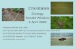 Chordates Zoology Donald Winslow 4 April 2008 Following Hickman et al. 2008, Ch 23 pp 497-506, 508-510, 512 (protochordates & early vertebrates) Ch 24.