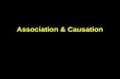 Association & Causation. Framework DefinitionsDefinitions IntroductionIntroduction Historical theories of causation of diseaseHistorical theories of causation.