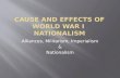 Alliances, Militarism, Imperialism & Nationalism.