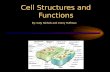 Cell Structures and Functions By: Katy Nichols and Corey Huffman.