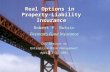 Real Options in Property-Liability Insurance Robert P. Butsic Fireman’s Fund Insurance CAS Seminar on Enterprise Risk Management April 2-3, 2001.