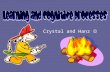 Crystal and Hanz Learning: Principles and Applications Social Learning –Form of learning in which the organism observes and imitate the behavior of others.