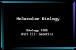 Molecular Biology Biology 3201 Unit III: Genetics.