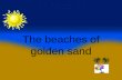 The beaches of golden sand "The beaches of golden sand" is a topic associated with the earthly paradise. But beaches, like almost all the landscapes.