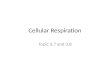 Cellular Respiration Topic 3.7 and 3.8. Assessment Statements: SL 3.7.1 Define cell respiration. 3.7.2 State that, in cell respiration, glucose in the.