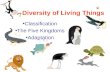 Diversity of Living Things Classification The Five Kingdoms Adaptation.