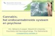 Cannabis; het endocannabinoide systeem en psychose Drs. Rebecca Kuepper, Maastricht University, Psychiatry and Neuropsychology, The Netherlands r.kuepper@sp.unimaas.nl.