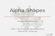Alpha Shapes Herbert Edelsbrunner Duke University, Computer Science (Raindrop) Geomagic LEIDEN 2006.