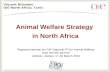 11 Animal Welfare Strategy in North Africa Vincent Brioudes OIE North Africa, Tunis Regional seminar for OIE National FP for Animal Welfare from the ME.