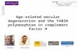 Age-related macular degeneration and the Y402H polymorphism in complement factor H Manchester Biomedical Research Centre Simon Clark Tony Day.