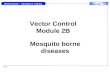 VC2B VC WASH Cluster – Emergency Training 1 Vector Control Module 2B Mosquito borne diseases.