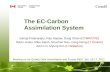 The EC-Carbon Assimilation System Saroja Polavarapu, Ray Nassar, Doug Chan (CCMR/CRD) Dylan Jones, Mike Neish, Shuzhan Ren, Feng Deng (U Toronto) John.