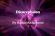 Diencephalon By Rashid Alshahoumi. Outline: Overview Development of Diencephalon Basic Organization Dorsal Thalamus (Thalamus) Hypothalamus Ventral Thalamus.