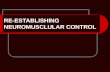 RE-ESTABLISHING NEUROMUSCLULAR CONTROL. DEFINITIONS DEFINITIONS: What is neuromuscular control? What is kinesthesia? What is proprioception? What is muscle.