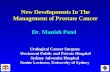 New Developments In The Management of Prostate Cancer Dr. Manish Patel Urological Cancer Surgeon Westmead Public and Private Hospital Westmead Public and.