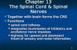 1 Chapter 13 The Spinal Cord & Spinal Nerves Together with brain forms the CNS Together with brain forms the CNS Functions Functions spinal cord reflexes.