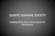 QUINTE HUMANE SOCIETY Helping those who cannot speak for themselves.