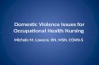 Domestic Violence Issues for Occupational Health Nursing Michele M. Lawson, RN, MSN, COHN-S.