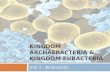 KINGDOM ARCHAEBACTERIA & KINGDOM EUBACTERIA Unit 2 - Biodiversity.