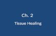 Ch. 2 Tissue Healing. Introduction Tissue healing occurs and is influenced by several factors There are three phases: – Inflammatory response – Repair/regeneration.