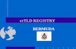 CcTLD REGISTRY BERMUDA. Background - ccTLD  1993 -.bm registration was introduced by the Bermuda Government to encourage local e-commerce between business.