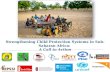 Strengthening Child Protection Systems in Sub-Saharan Africa: A Call to Action.