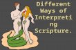 Different Ways of Interpreting Scripture.. Creation According to Genesis Using the books, sheets and Bibles provided find out how the world was created.