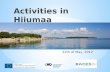 Foundation Tuuru 22th of May, 2012. ECONOMIC DEVELOPMENT Tourism development plan of Hiiumaa; Entrepreneurship development plan of Hiiumaa; Development.