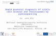 Rapid prenatal diagnosis of sickle cell disease and thalassaemia by pyrosequencing Dr. John Old National Haemoglobinopathy Reference Laboratory Molecular.