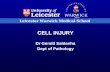 Leicester Warwick Medical School CELL INJURY Dr Gerald Saldanha Dept of Pathology.