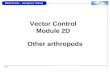 VC2D VC WASH Cluster – Emergency Training 1 Vector Control Module 2D Other arthropods.