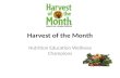 Harvest of the Month Nutrition Education Wellness Champions.
