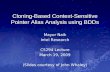 Cloning-Based Context-Sensitive Pointer Alias Analysis using BDDs Mayur Naik Intel Research CS294 Lecture March 19, 2009 (Slides courtesy of John Whaley)