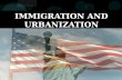 IMMIGRATION AND URBANIZATION. New Immigrants New Immigrants= Southern and Eastern Europeans during 1870s until WWI.  Came from Ireland, Germany, Italy,