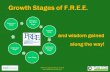 ATIA Chicago AT Reuse Strand  Growth Stages of F.R.E.E. and wisdom gained along the way! Embryonic and Birth Stage Innocent Stage.