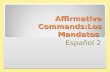 Affirmative Commands:Los Mandatos Español 2 Affirmative Tú Commands You already know how to give affirmative commands to someone you address as tú. Hablar.