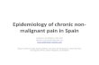 Epidemiology of chronic non- malignant pain in Spain Professor Jos Kleijnen, MD, PhD Kleijnen Systematic Reviews Ltd  Report.
